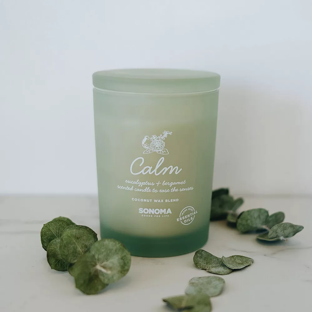 Sonoma Goods For Life® Spa Calm Candle Jar Sonoma Goods For Life® Spa Calm Candle Jar -Sonoma Goods For Life 4618312 ALT