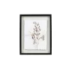 Sonoma Goods For Life® Shadowbox Painted Botanicals -Sonoma Goods For Life 5636658