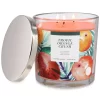 Sonoma Goods For Life® Tropic Orange Crush 14-oz. Candle Jar -Sonoma Goods For Life 5877294