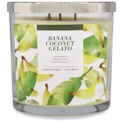 Sonoma Goods For Life® Banana Coconut Gelato 14-oz. Candle Jar -Sonoma Goods For Life 5877301 ALT2