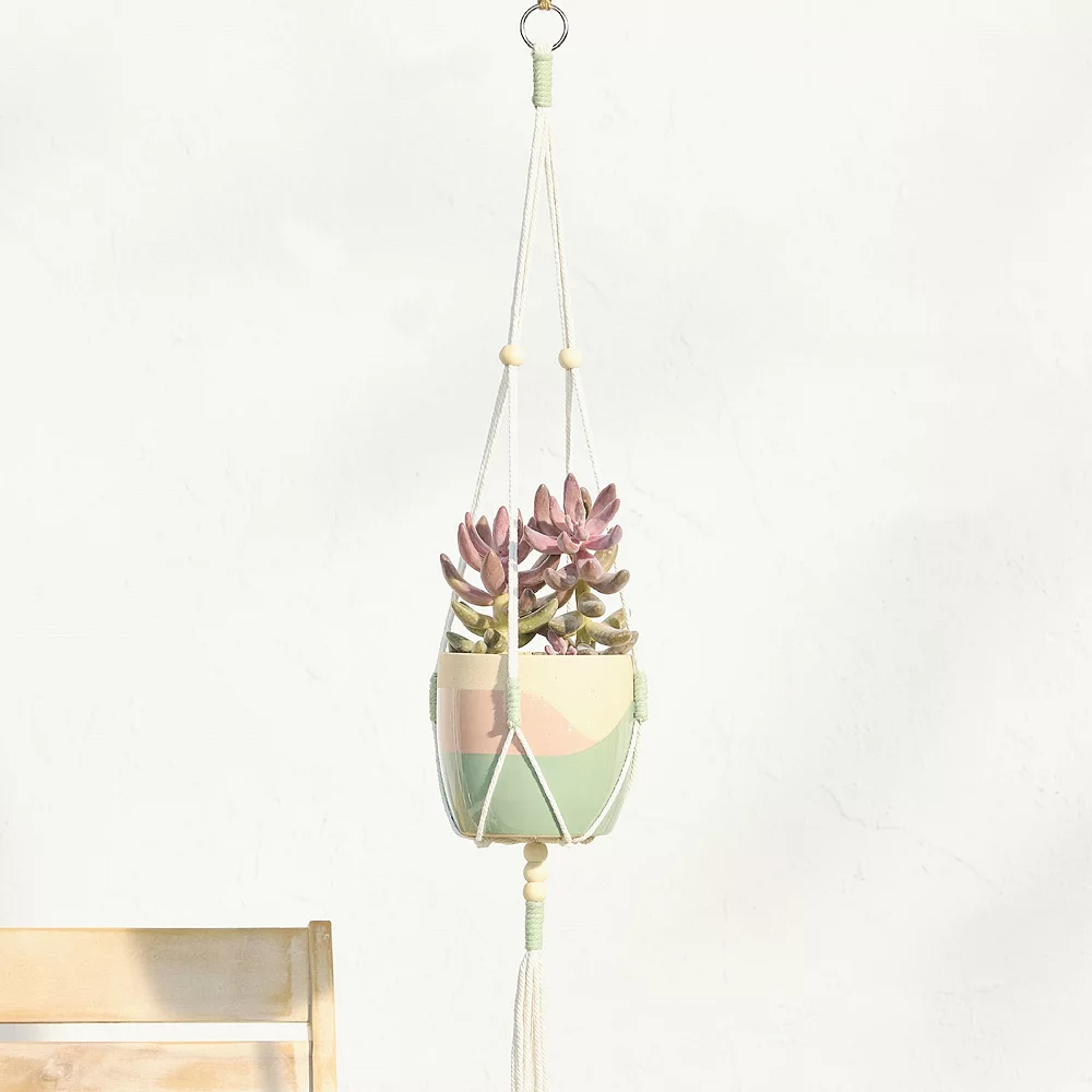 Sonoma Goods For Life® Color Block Hanging Macramé Planter Sonoma Goods For Life® Color Block Hanging Macramé Planter -Sonoma Goods For Life 5901436 ALT