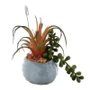 Sonoma Goods For Life® Succulent Artificial Greenery Photo Clip -Sonoma Goods For Life 5903701