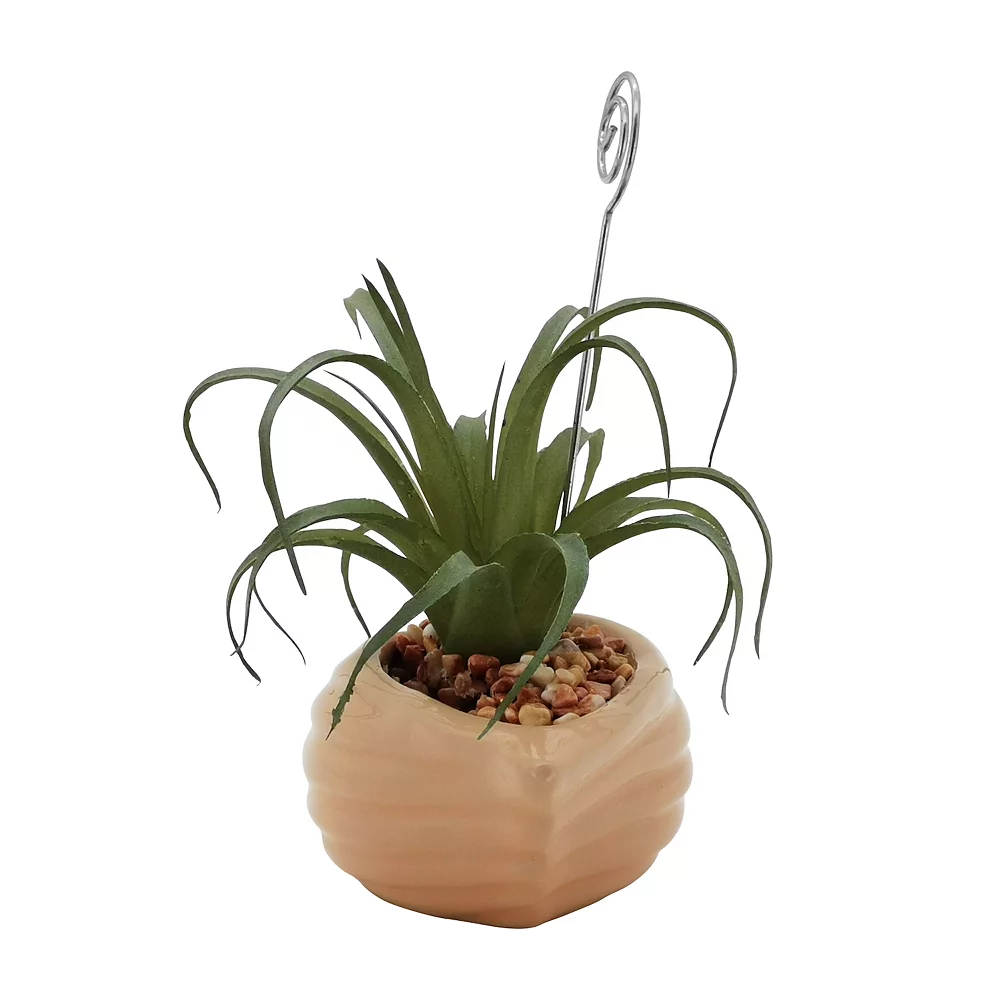 Sonoma Goods For Life® Air Plant Artificial Greenery Photo Clip Sonoma Goods For Life® Air Plant Artificial Greenery Photo Clip -Sonoma Goods For Life 5903702 ALT