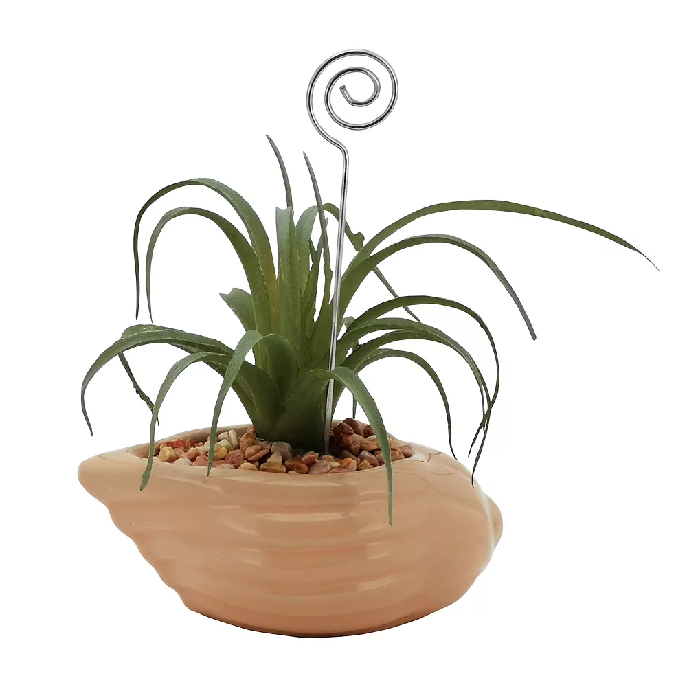 Sonoma Goods For Life® Air Plant Artificial Greenery Photo Clip Sonoma Goods For Life® Air Plant Artificial Greenery Photo Clip -Sonoma Goods For Life 5903702 ALT3