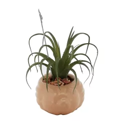 Sonoma Goods For Life® Air Plant Artificial Greenery Photo Clip 4 Sonoma Goods For Life® Air Plant Artificial Greenery Photo Clip -Sonoma Goods For Life 5903702 ALT4