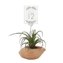 Sonoma Goods For Life® Air Plant Artificial Greenery Photo Clip 5 Sonoma Goods For Life® Air Plant Artificial Greenery Photo Clip -Sonoma Goods For Life 5903702 ALT5