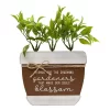 Sonoma Goods For Life® Artificial Botanical Plant Caption Box -Sonoma Goods For Life 5972760